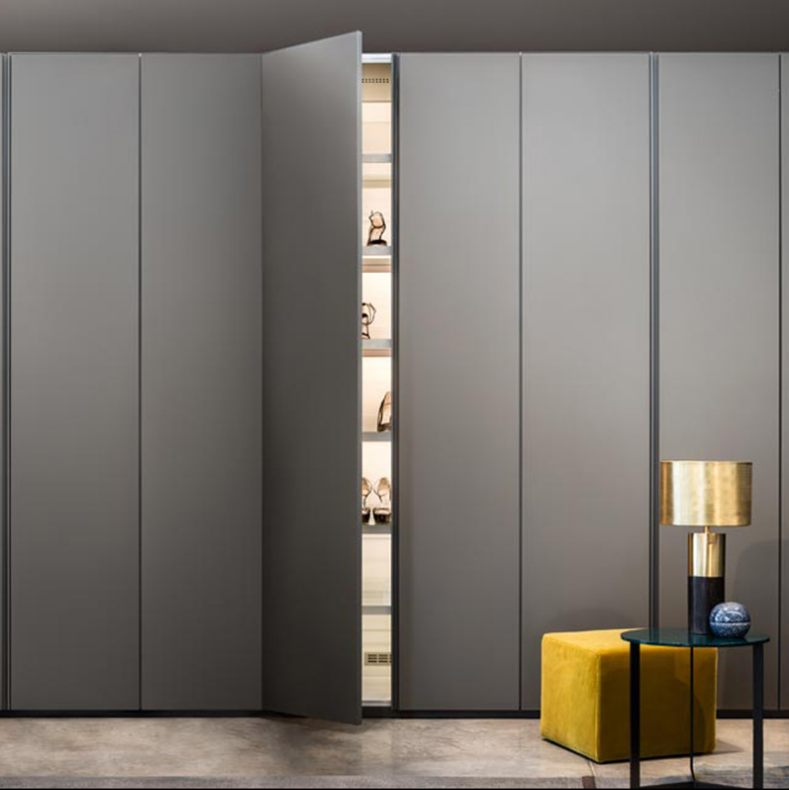 walk-in closet Customized wardrobe in the whole house PET  door cabinet straight line ratan wardrobe